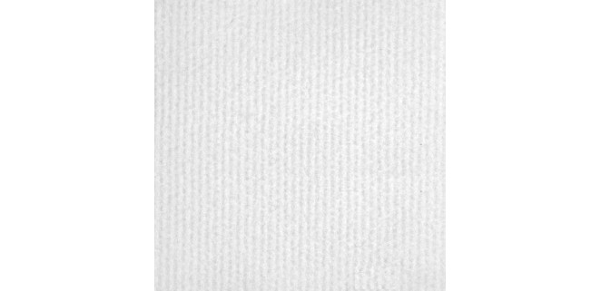 Виставковий ковролін ExpoCarpet 900 (білий)