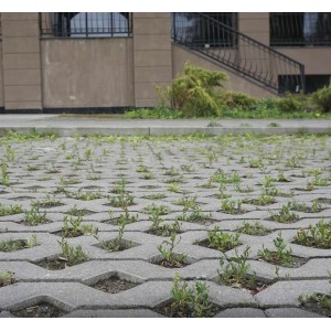 Тротуарна плитка Решітка h 80 мм, коричнева