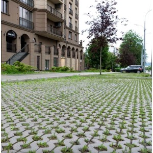 Тротуарна плитка Решітка h 80 мм, коричнева